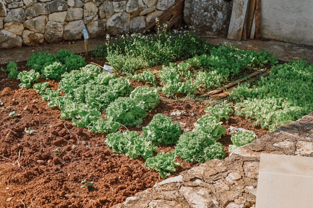 Vila Stala Malinska Ngoại thất bức ảnh